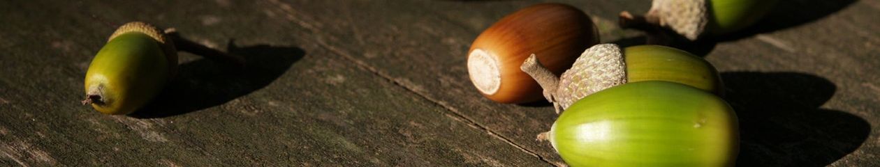 村瀬 泰一 雑感録